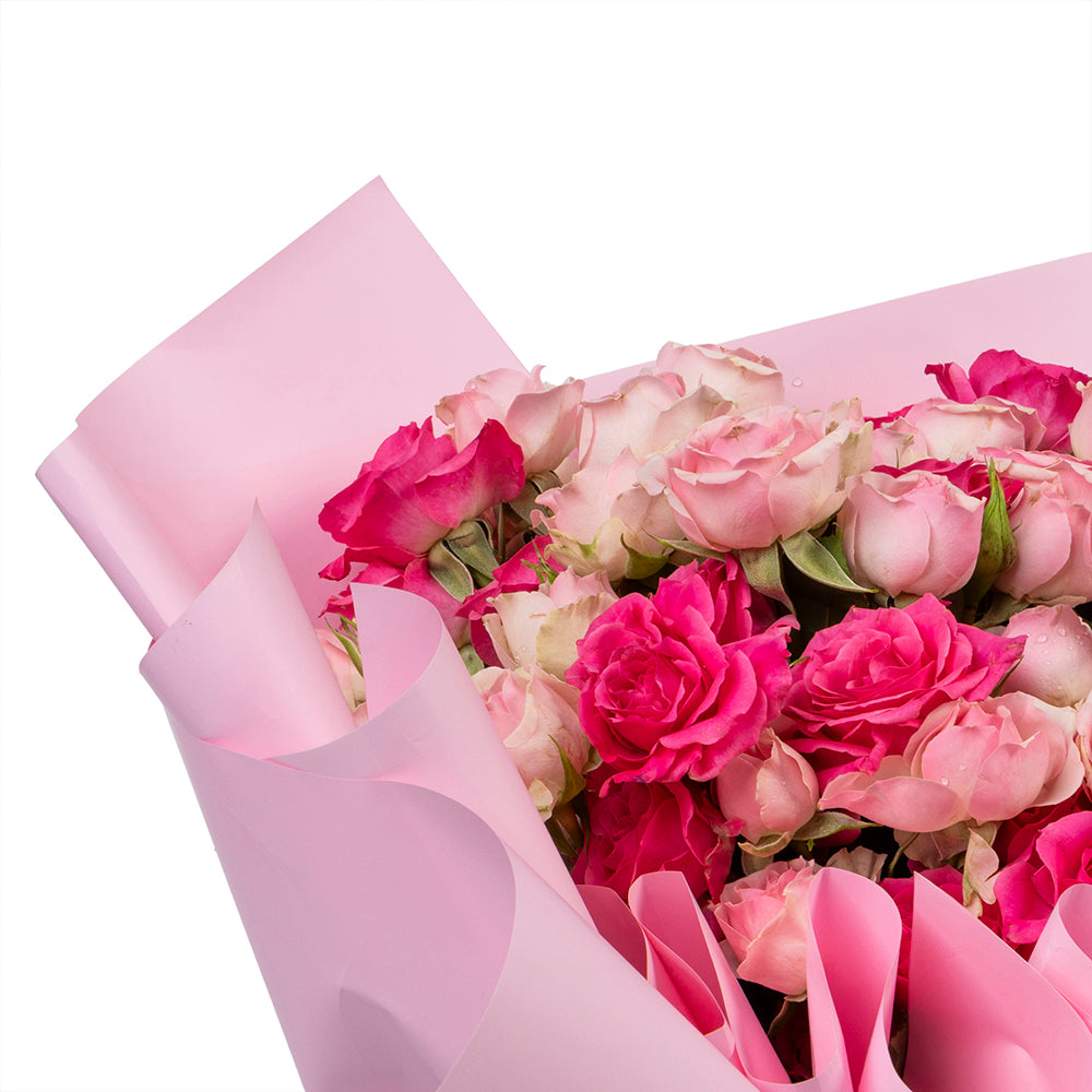 بوكية البيبي جوري