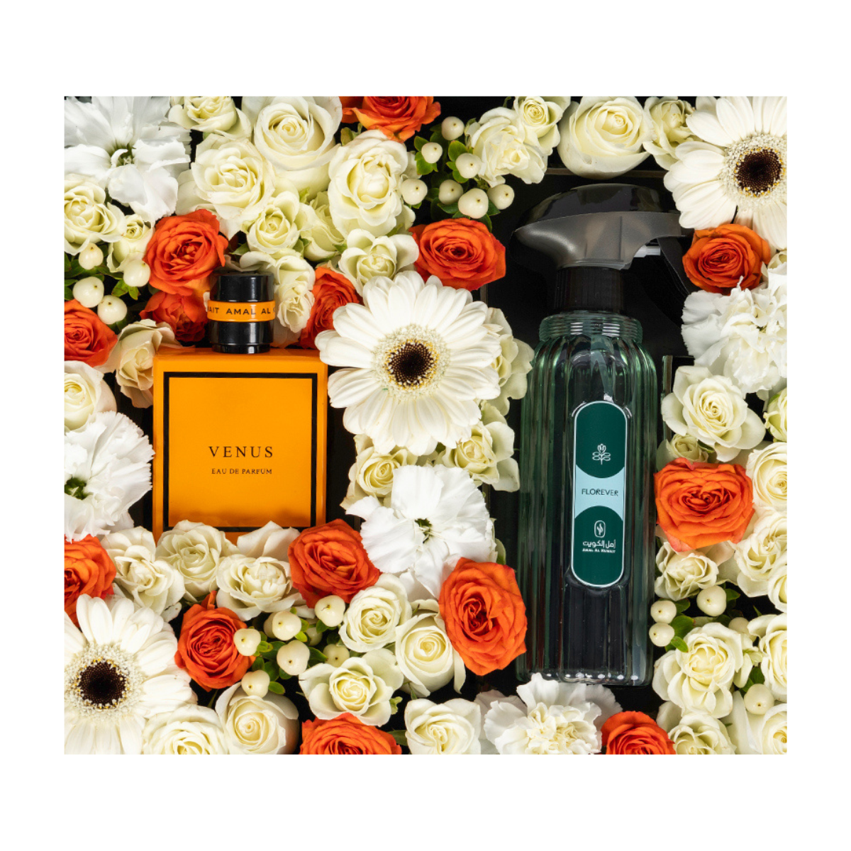 صندوق الورد و العطر الفاخر